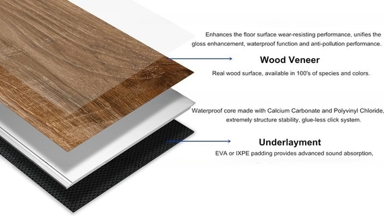 Supply Real Wood Veneer SPC Flooring with Advanced Click System and SPC Rigid Core